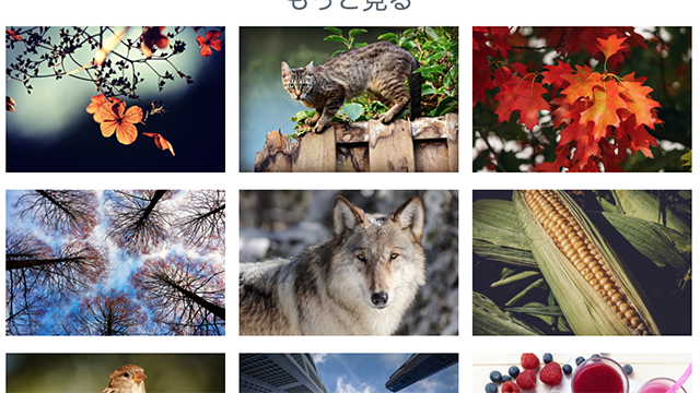 veujsもっと見る